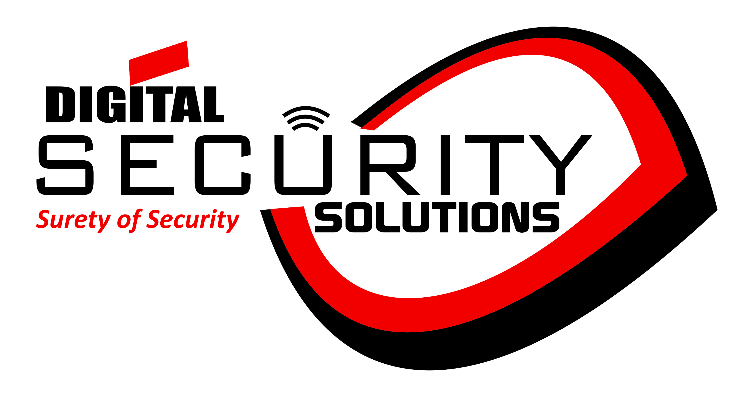 Digital Security Solutions logo